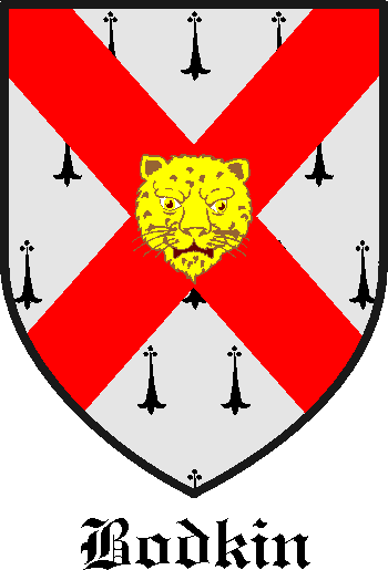 Bodkin family crest