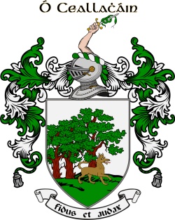 CALLAGHAN family crest CALLAGHAN family crest