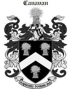 Canavan family crest Canavan family crest