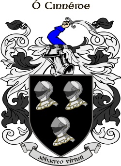 KENNEDY family crest