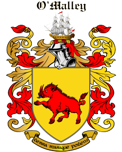 MCGIVERN family crest
