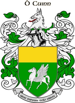 QUINN family crest QUINN family crest